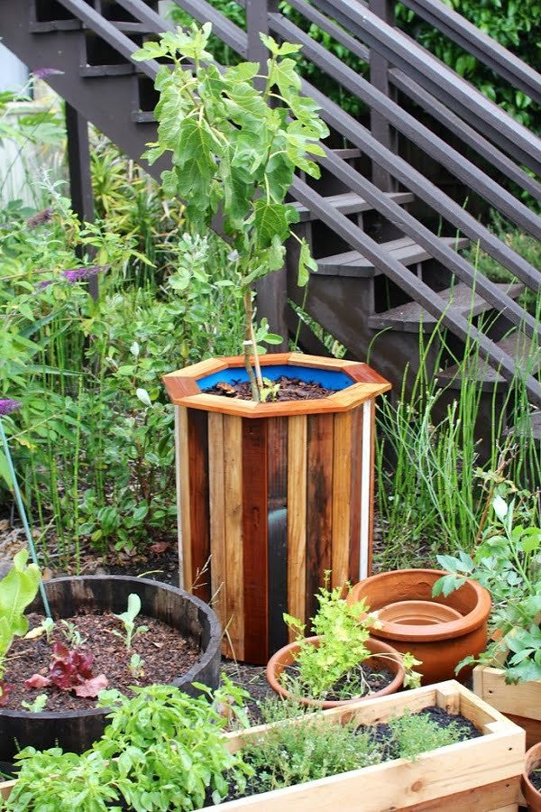 barrel tree planter