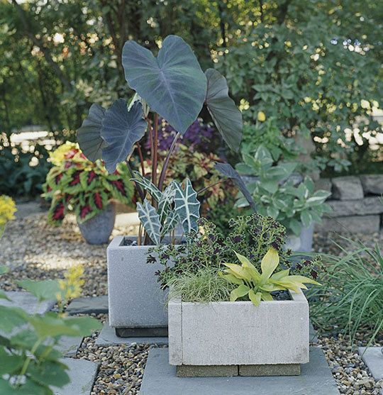 concrete planter