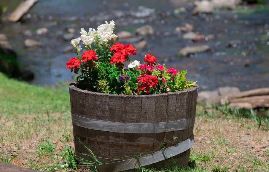 old barrel planter