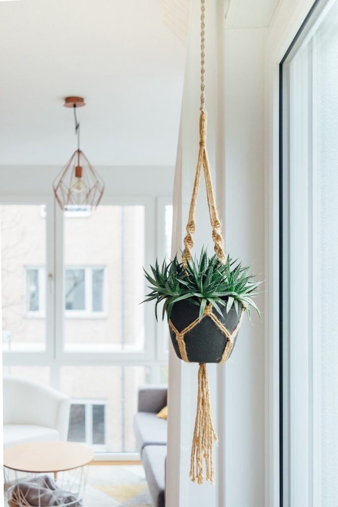 hanging planter