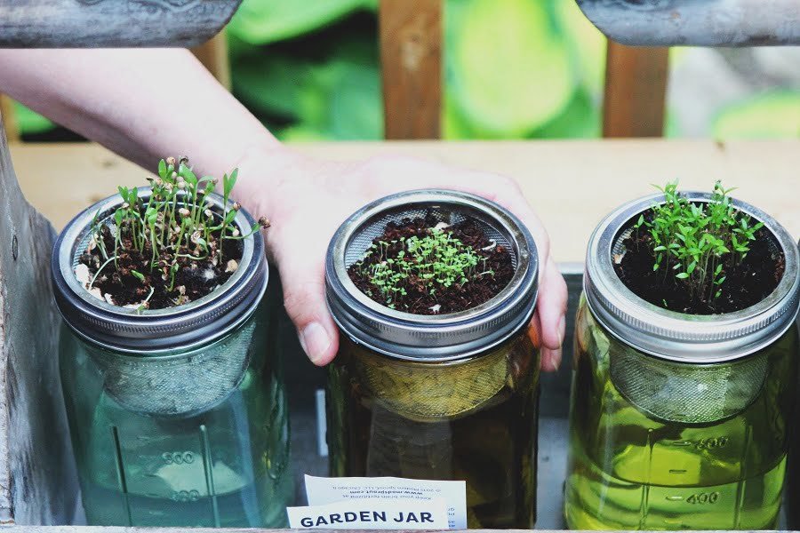 mason jar herb garden