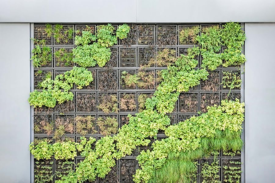 vertical garden