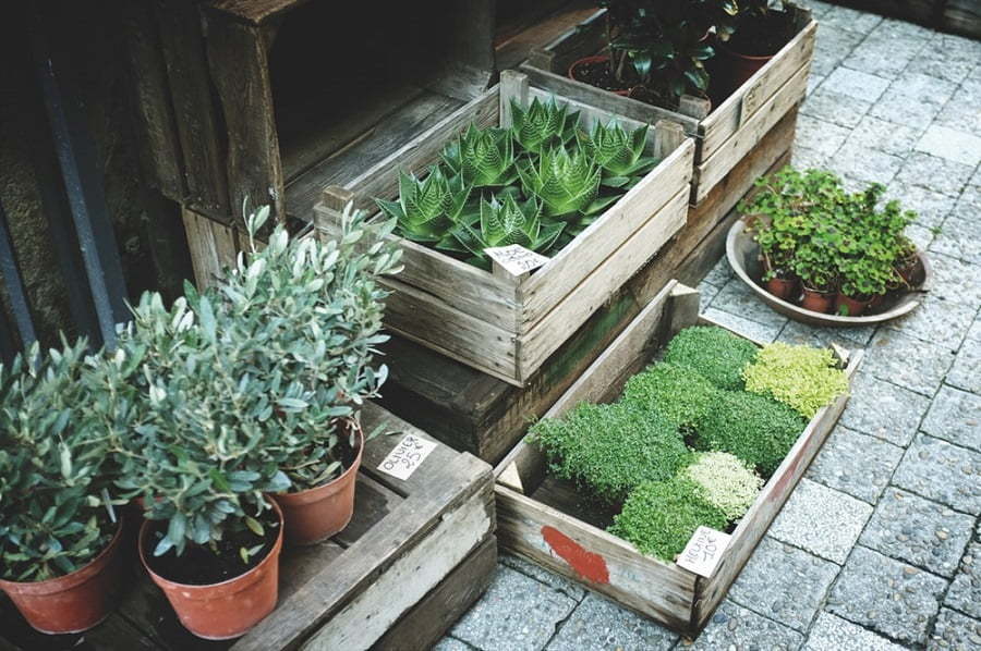 deck planter boxes