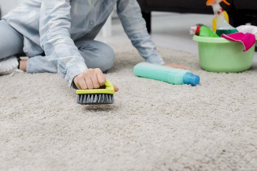 How to Clean the Carpet Without a Vacuum [4 Alternatives]