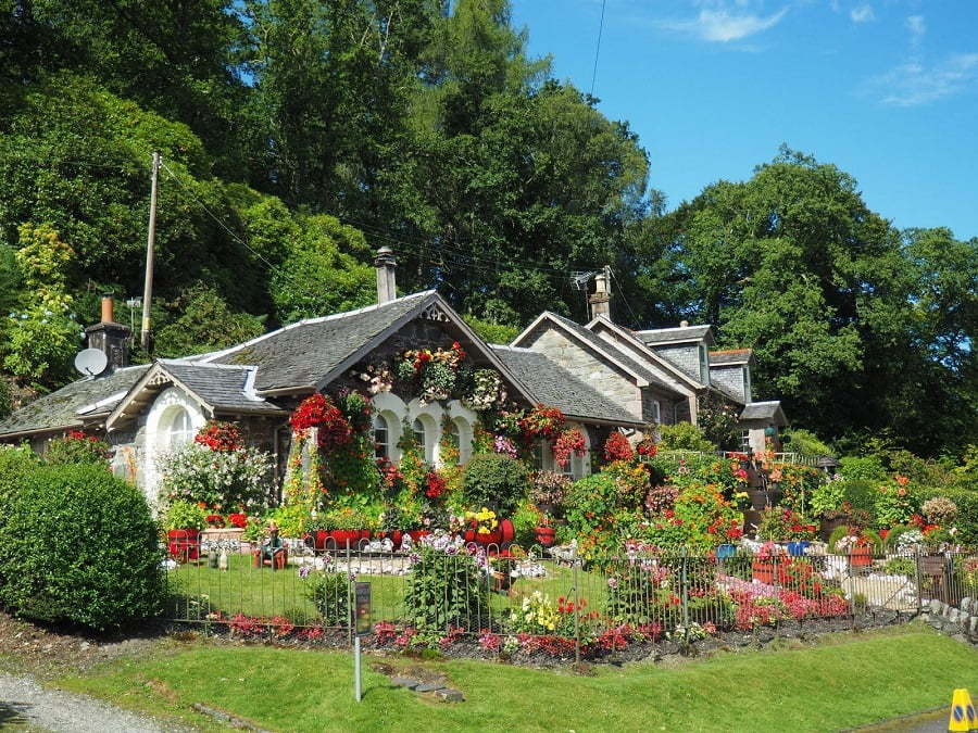 outdoor garden