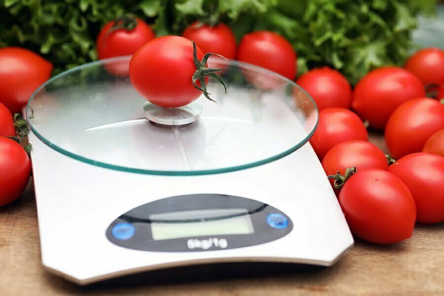 kitchen scale