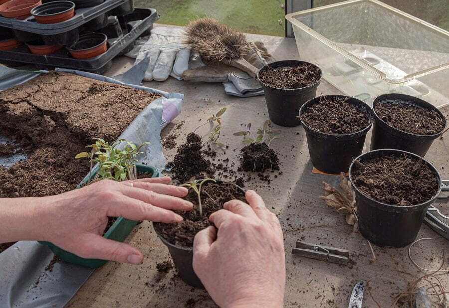 soil planters