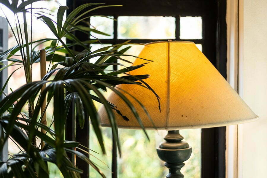 table lamp