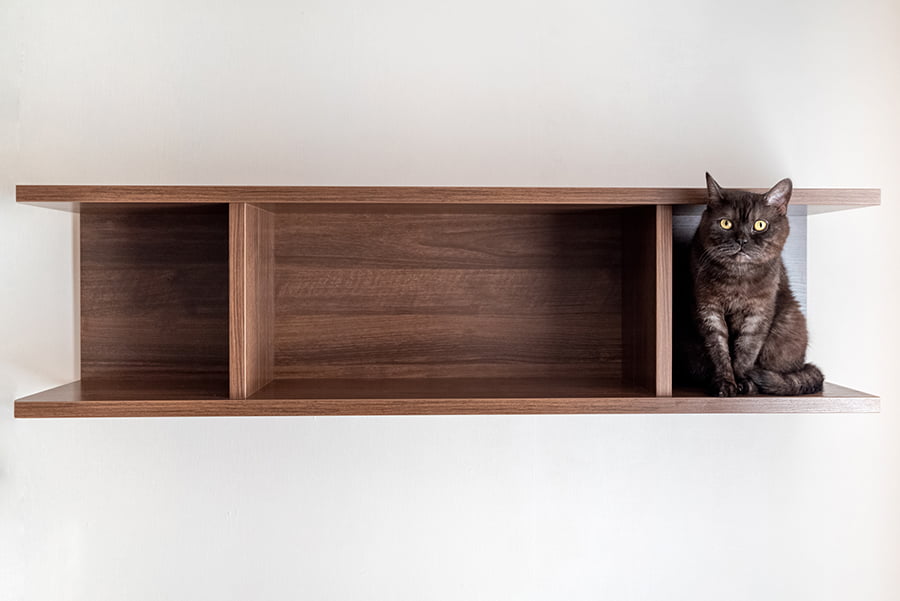 Climbing Shelves for Cats