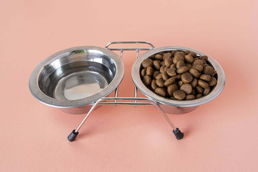 Elevated pet Food Bowls