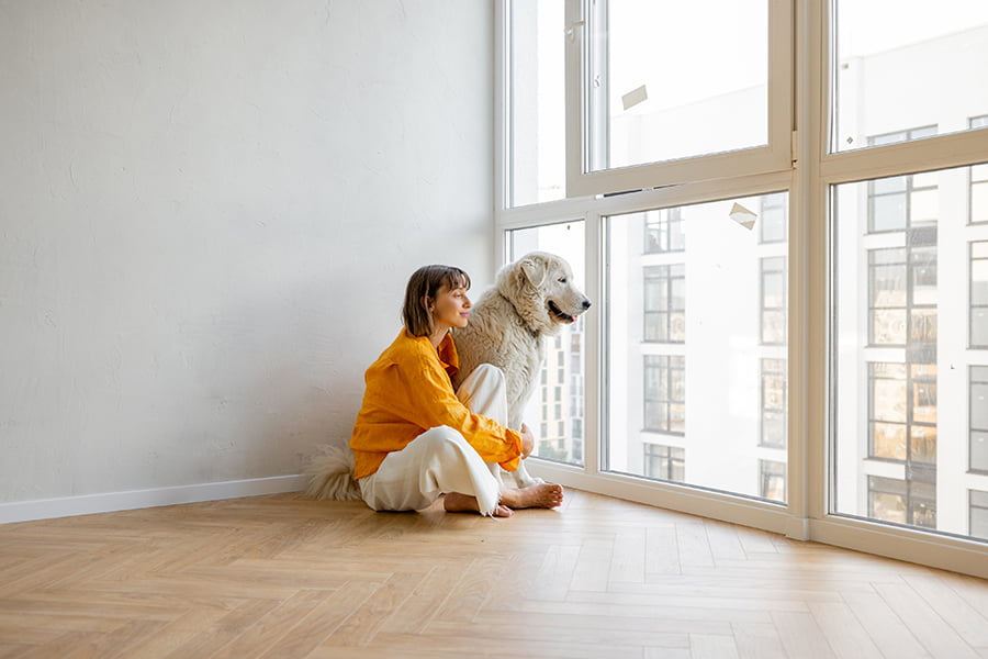 Pet-proof Window Treatments