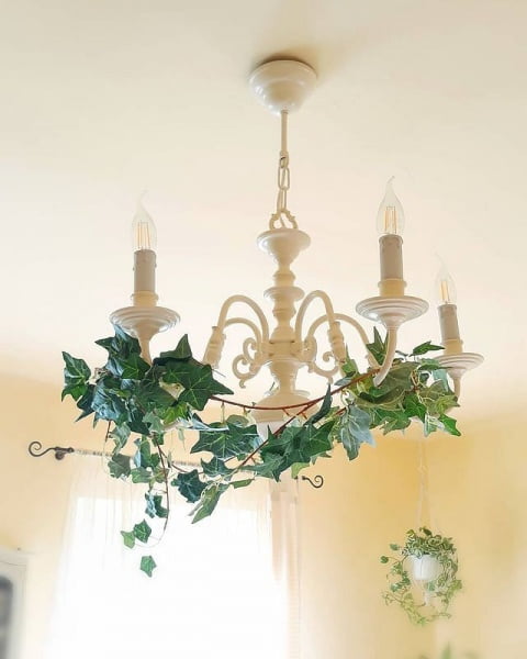 Ivy-Clad Vintage Home: Cozy And Elegant Decorating Ideas ivy decor