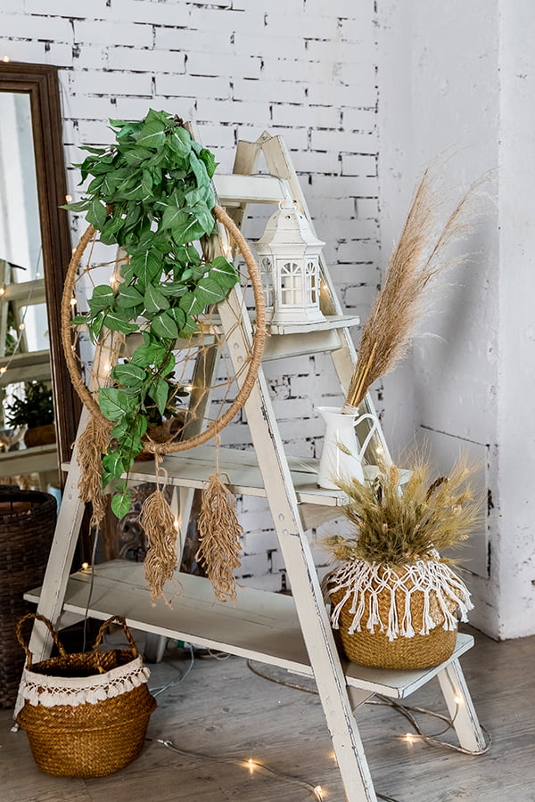ladder home decor plants hanging