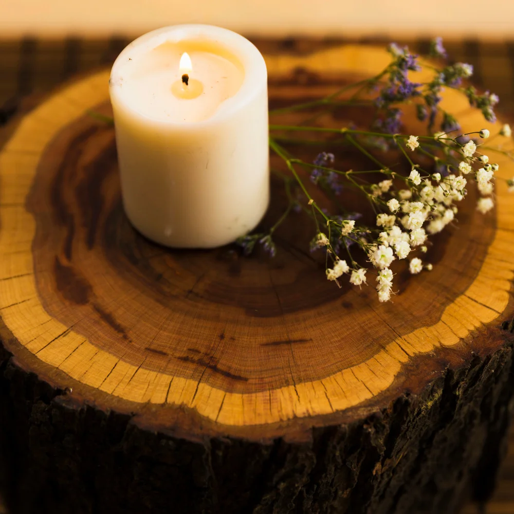 garden seating tree stump