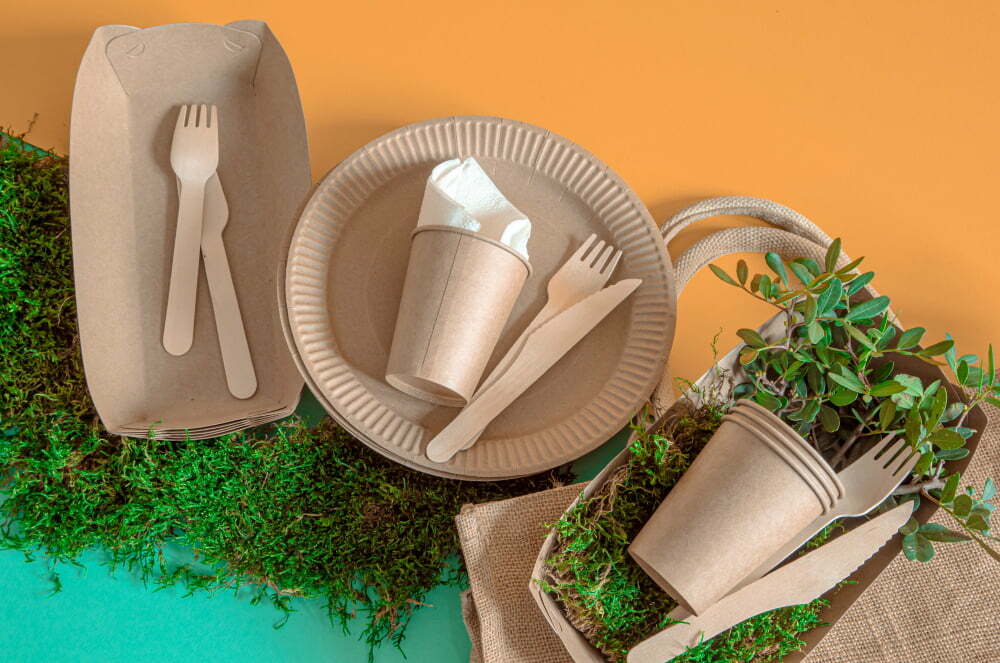 paper tableware