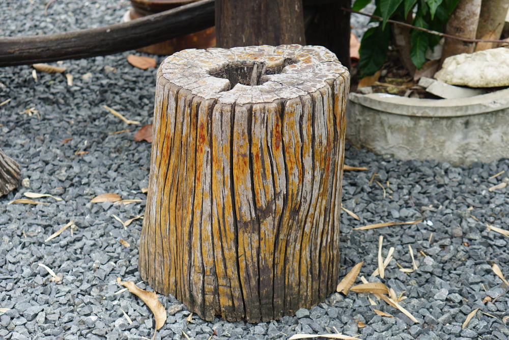 tree stump umbrella holder