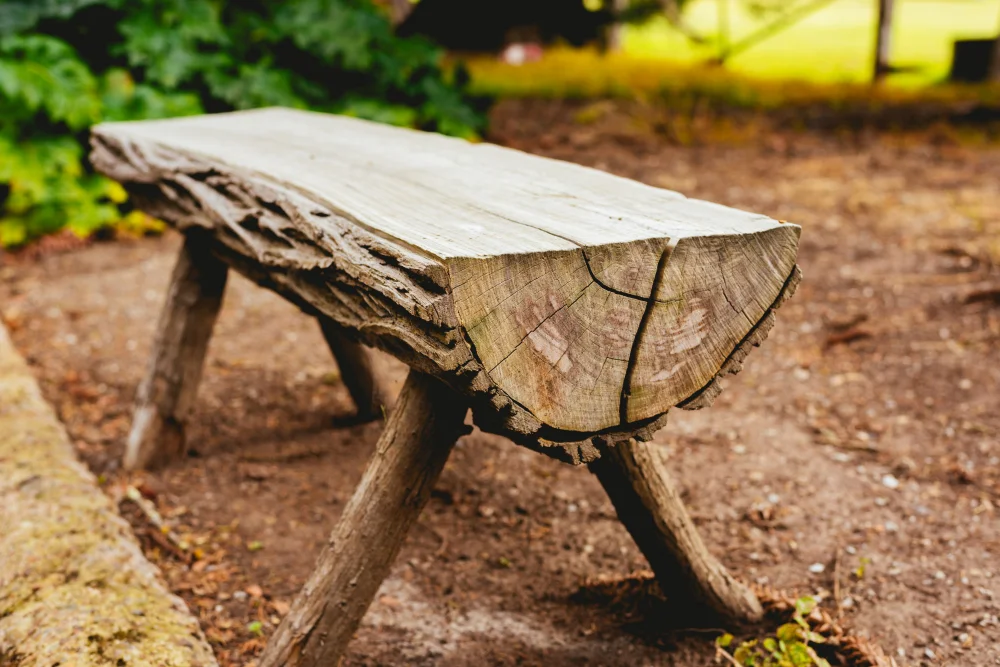 rustic stool tree stump