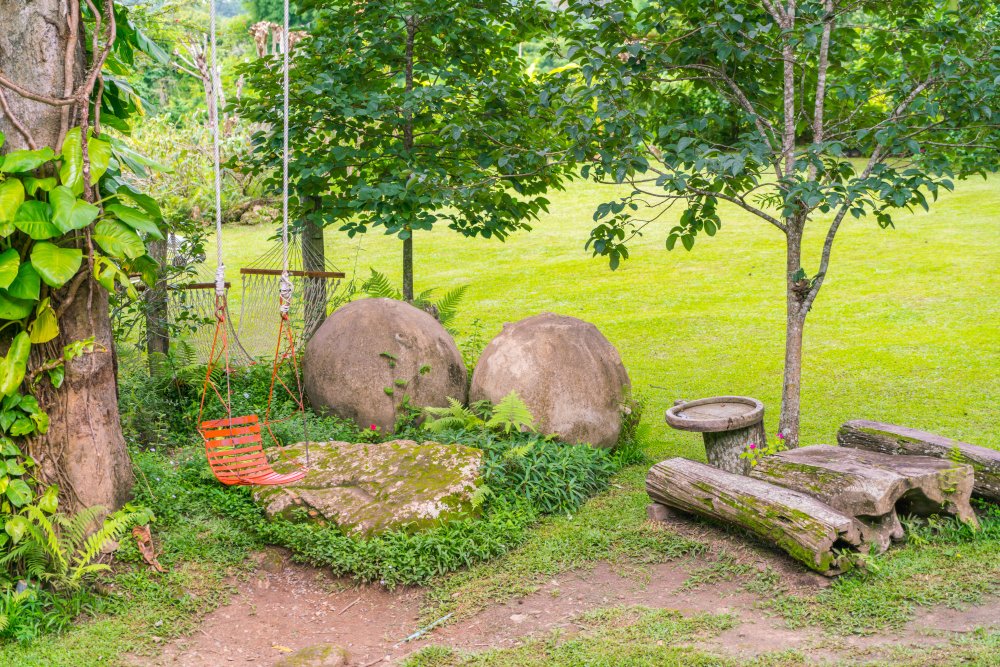 garden seating tree stump