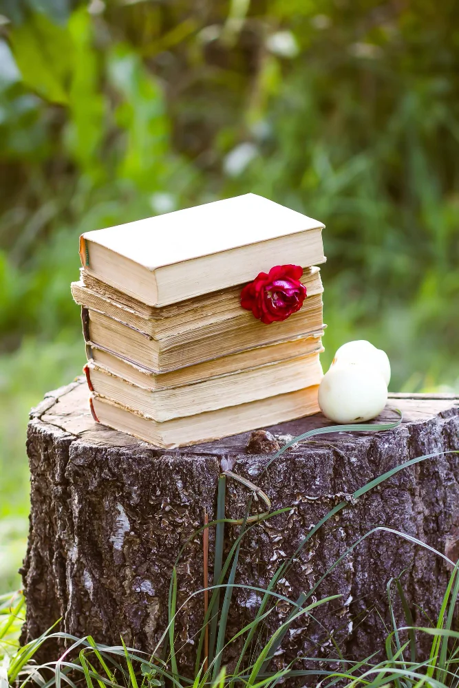 book shelf tree stump