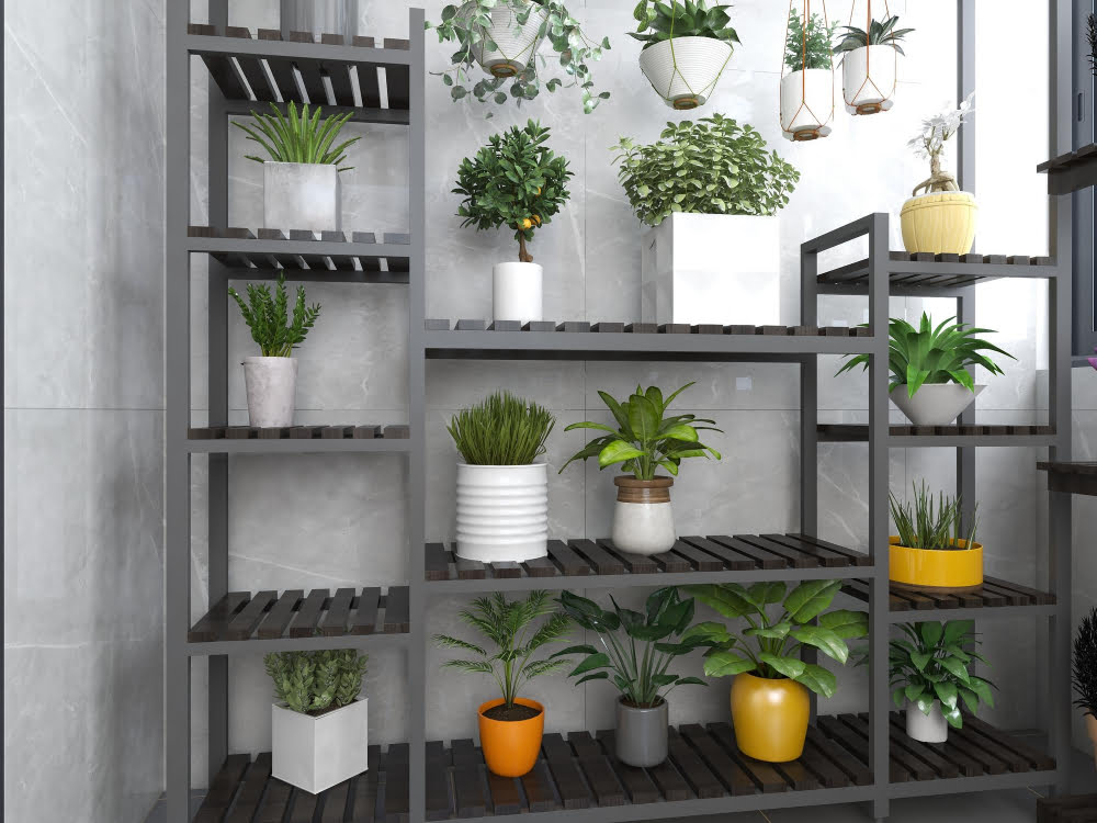 Indoor Plants decor
