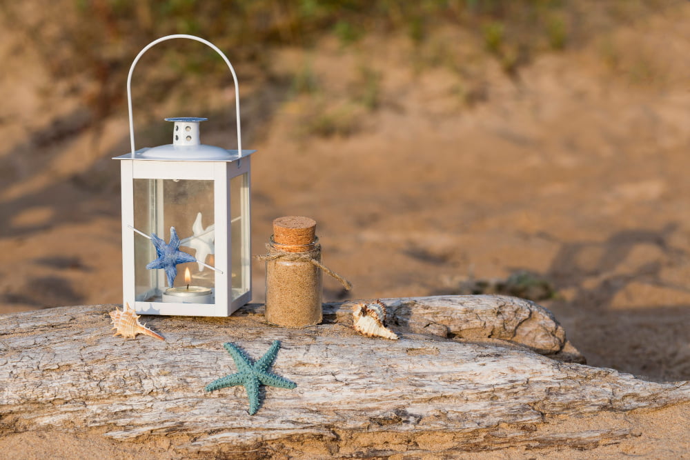 Seashells lantern