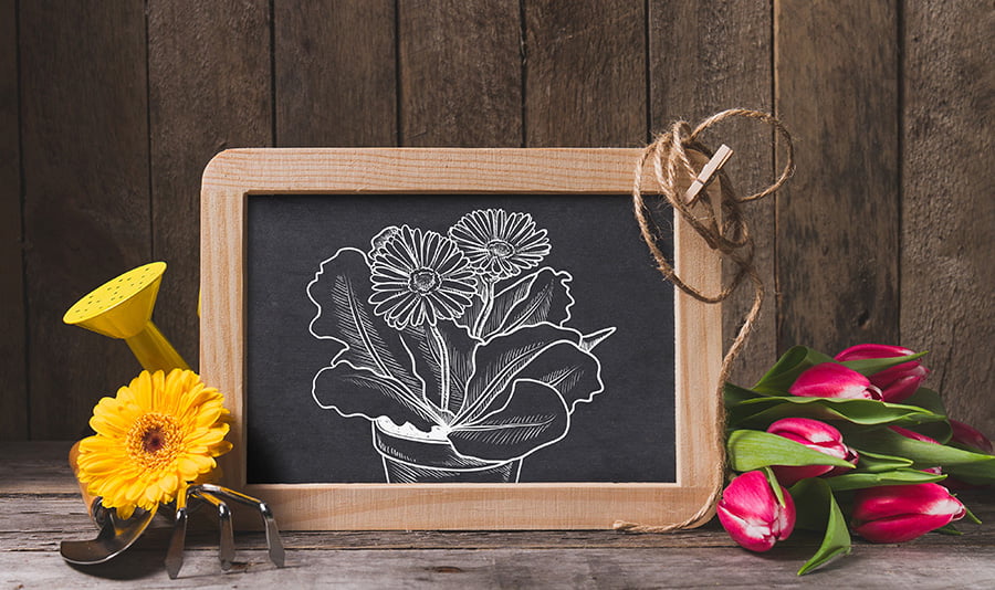 chalkboard flowers