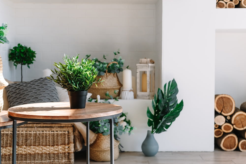 coffee table with plants