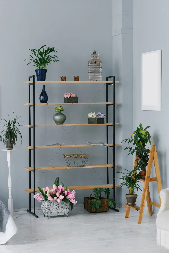 shelf in room