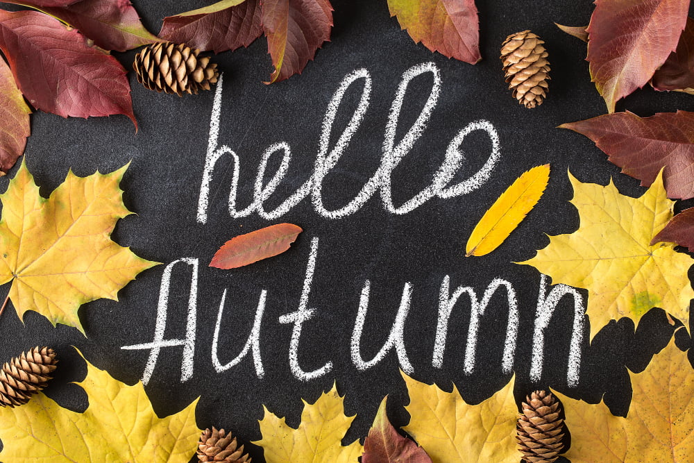 chalkboard Autumn Leaves design