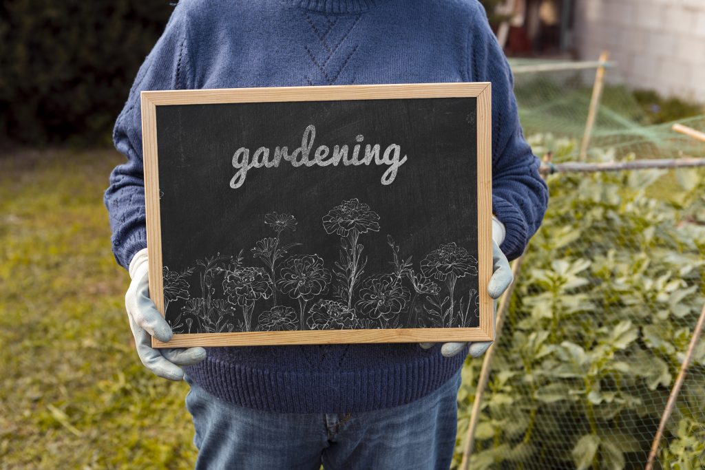 chalkboard Garden