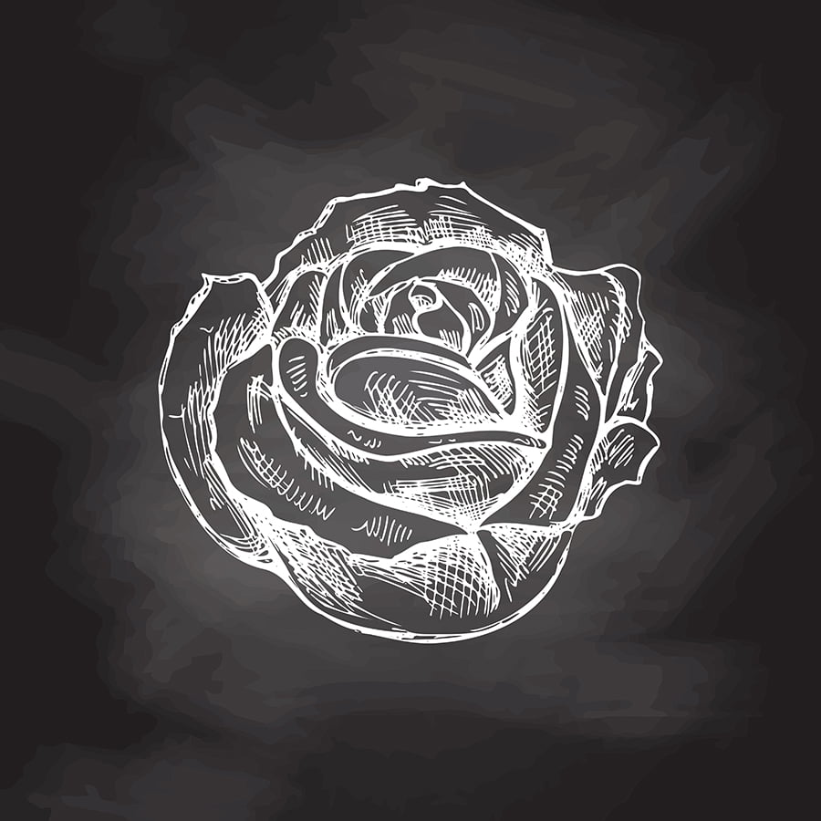 chalkboard Roses