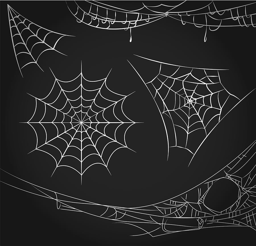 chalkboard Spider Web