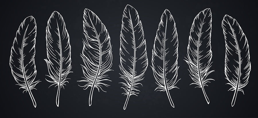 Feather-pattern Designs Chalk