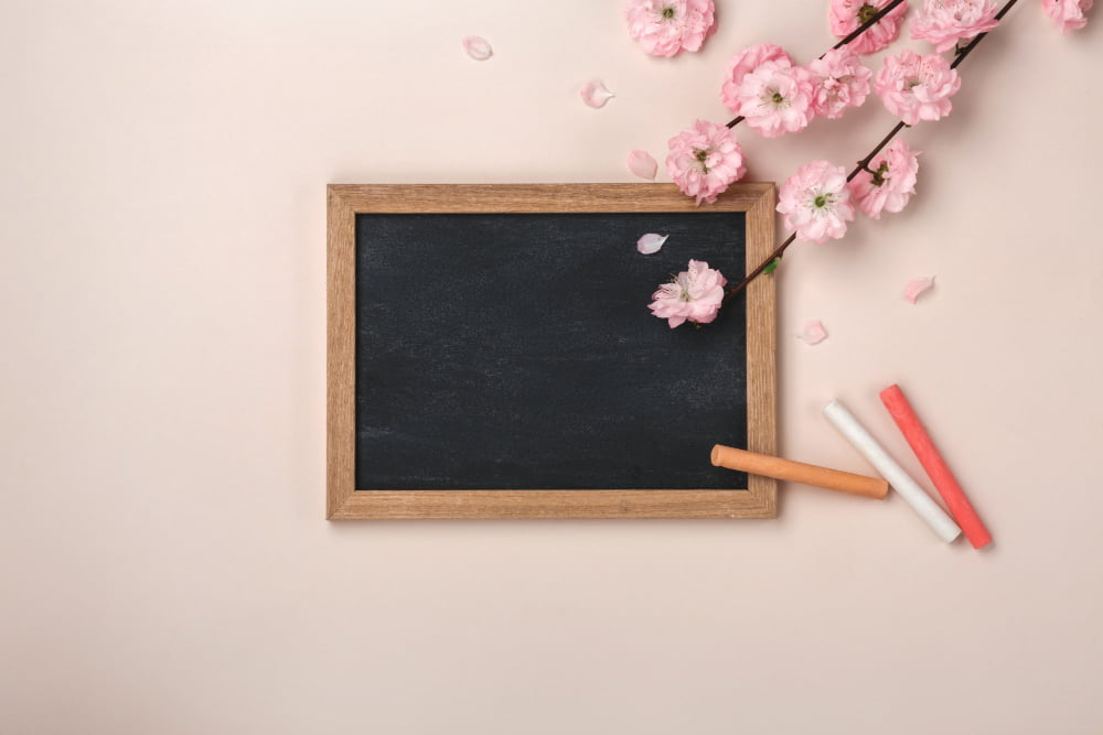 Cherry Blossoms Sakura Chalk