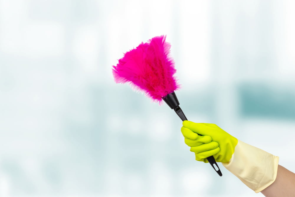 Cleaning Lights Duster