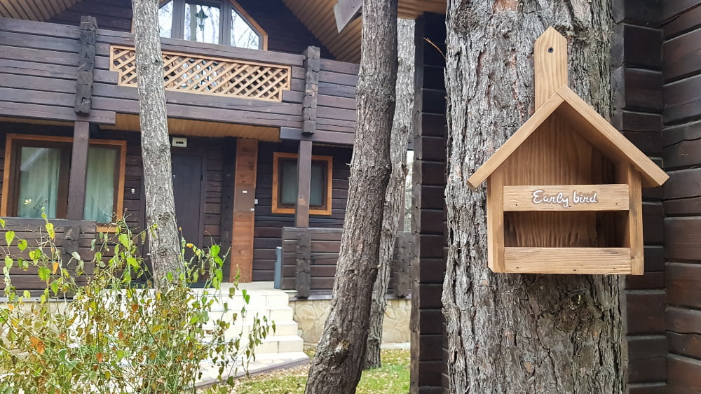 DIY Birdhouses