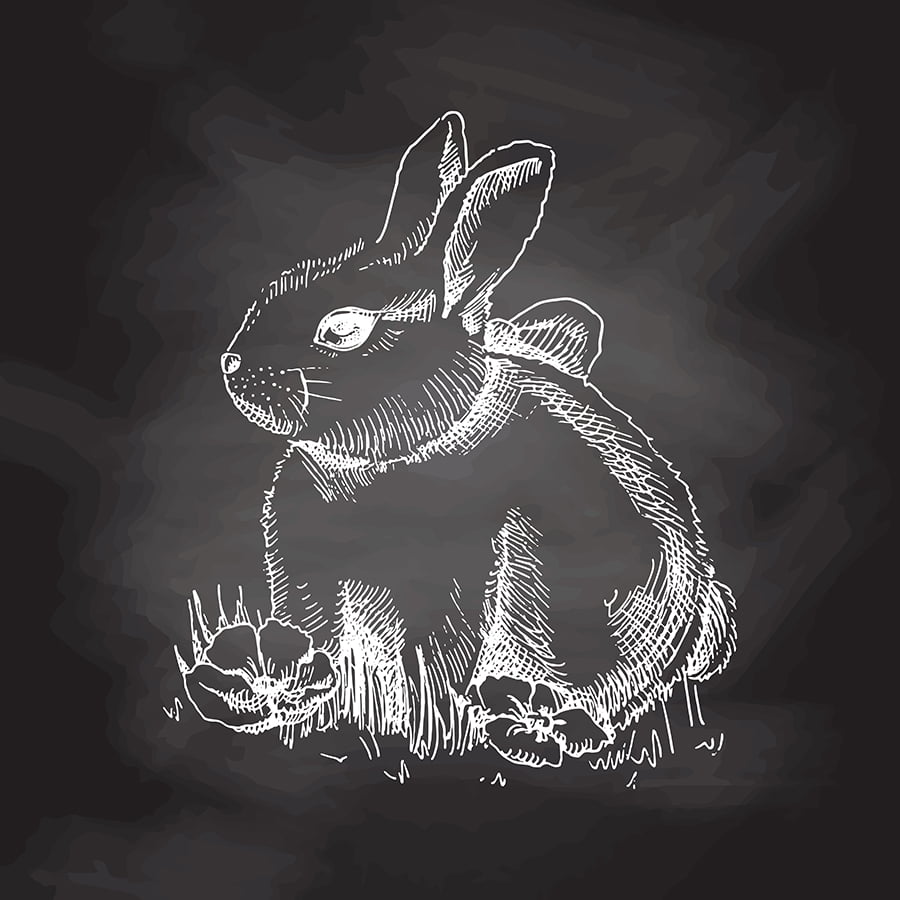 Easter Bunny Chalk