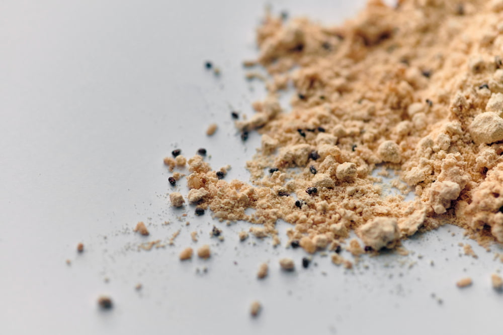 Flour beetles in baking flour food waste