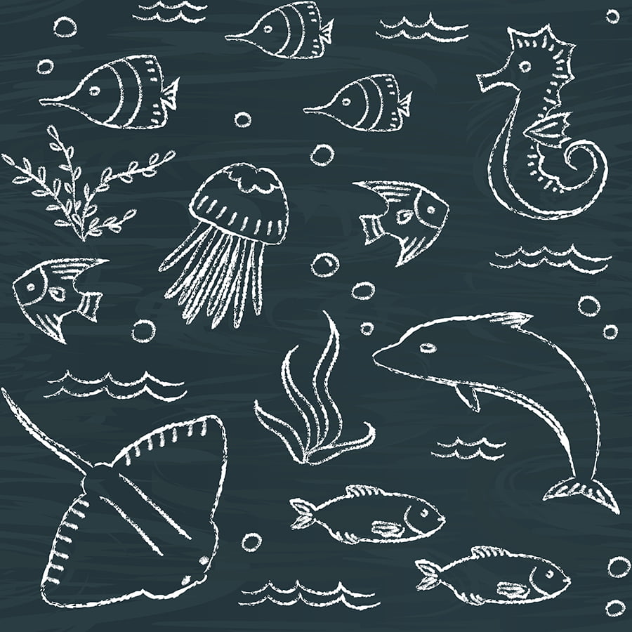 Sea Creature Doodles