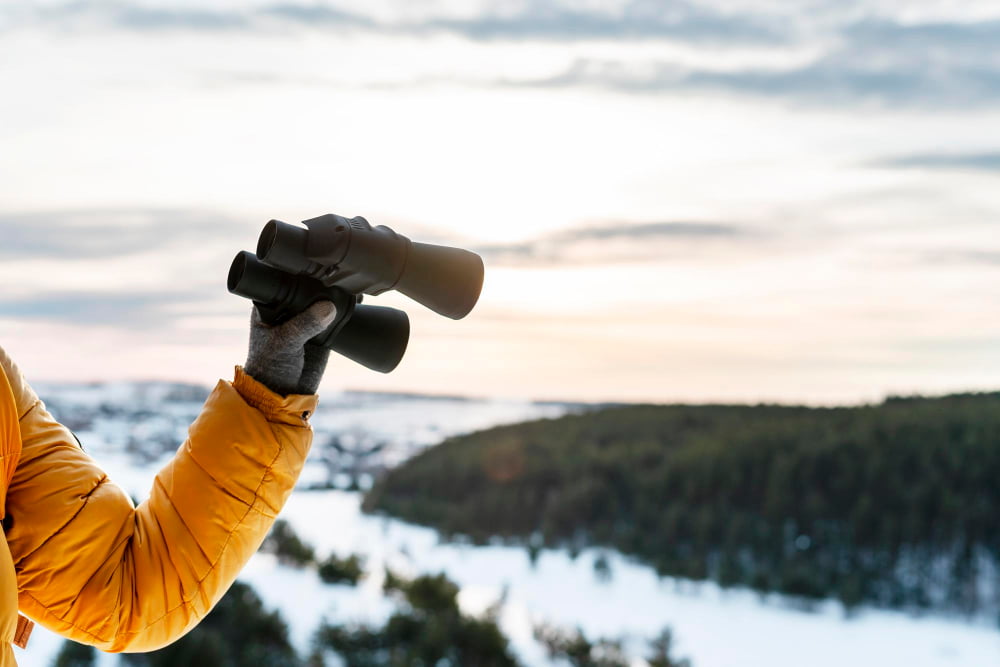 Winter Birdwatching