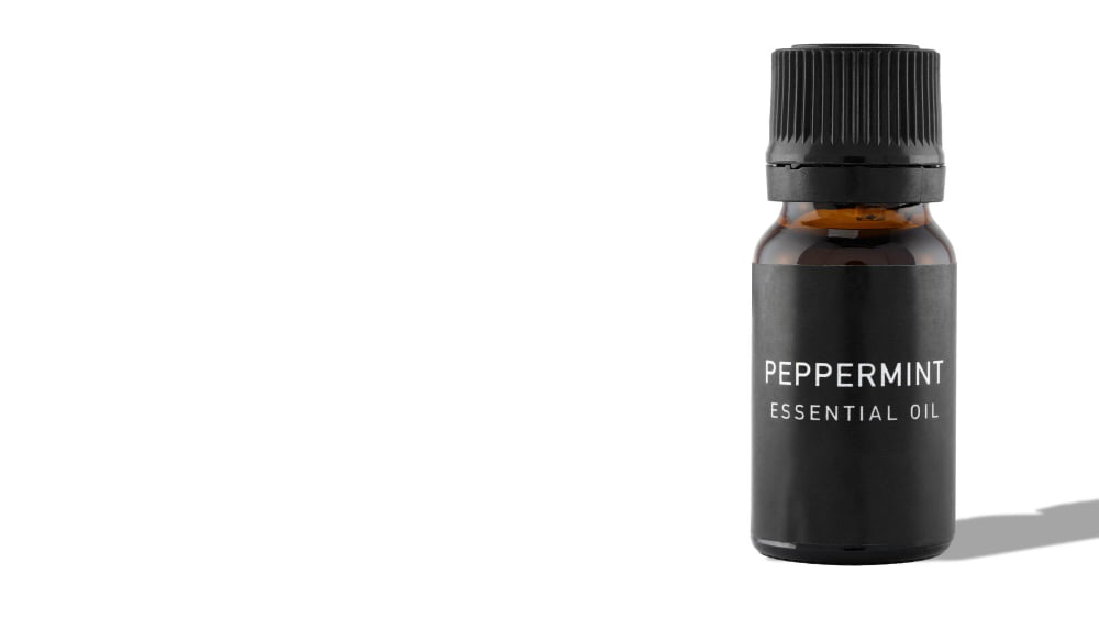 peppermint essential oil 