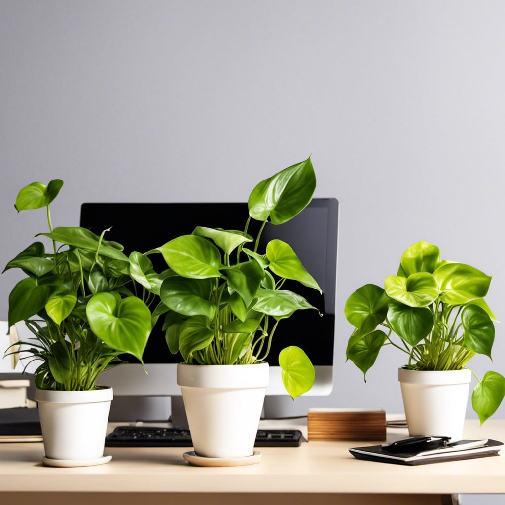 mini pothos plants as desk decor