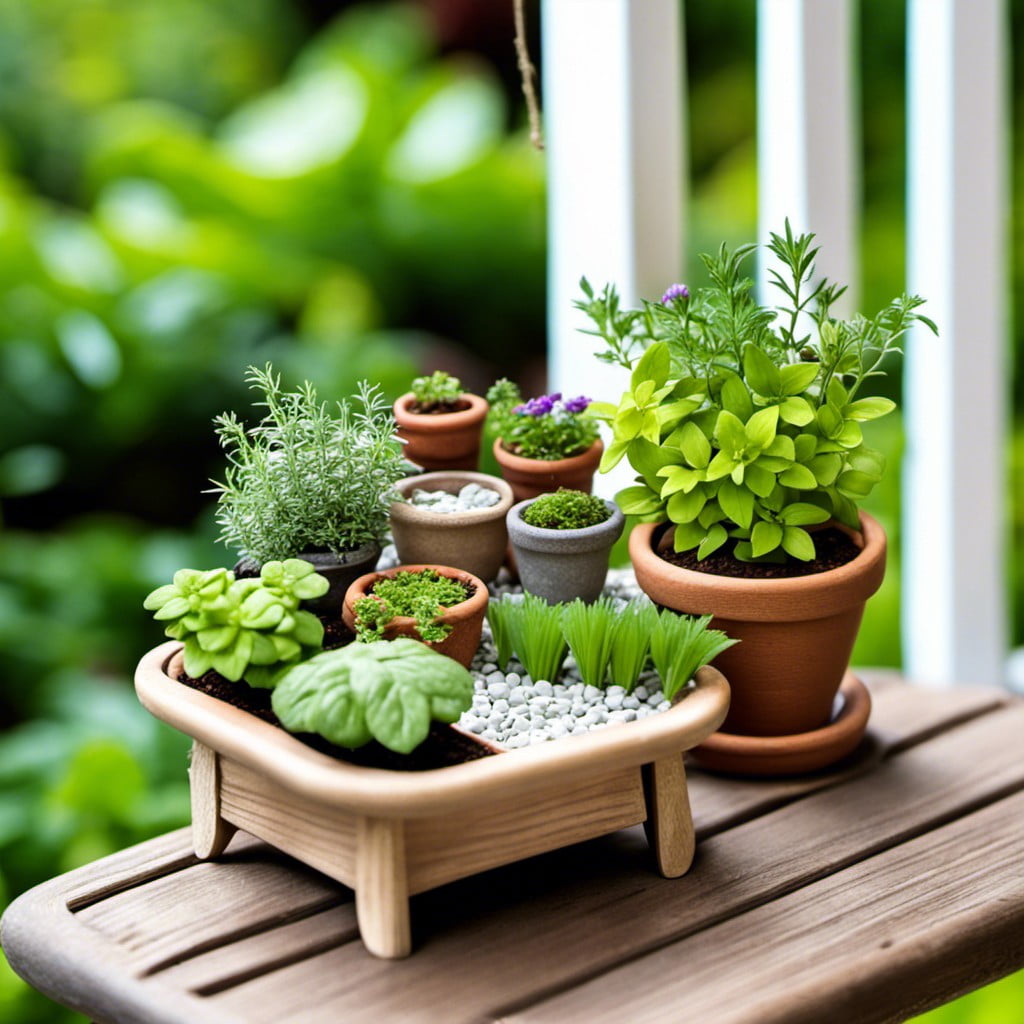 miniature potted herb garden