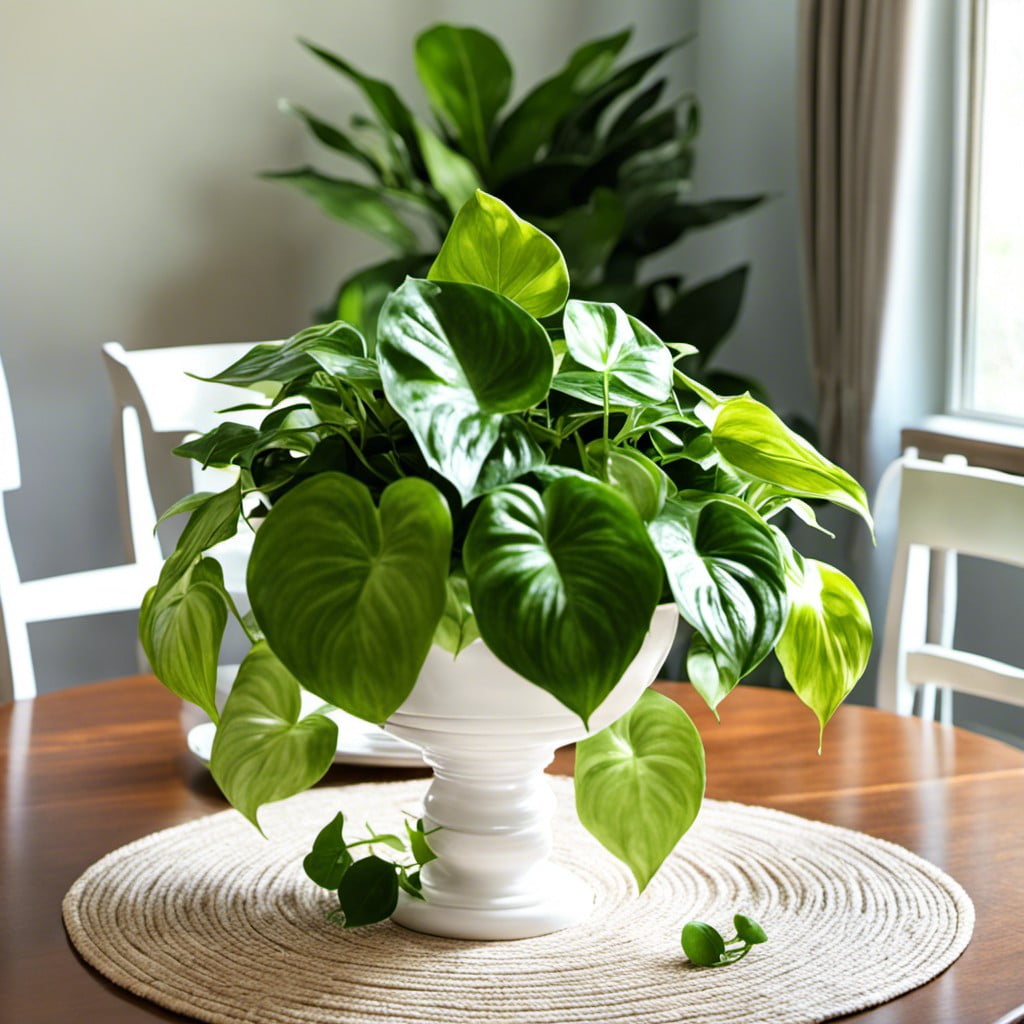 pothos centerpiece for dining table