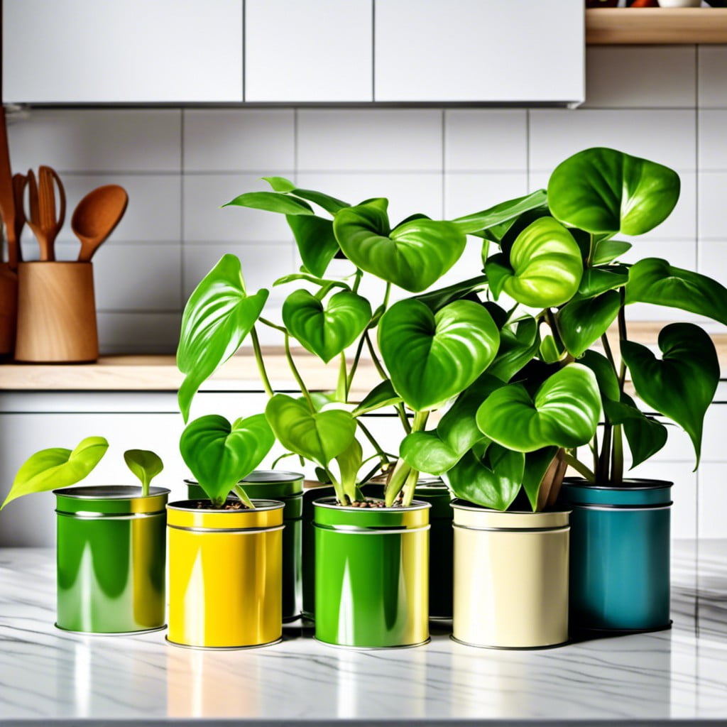 pothos in colorful tin cans for kitchen counter