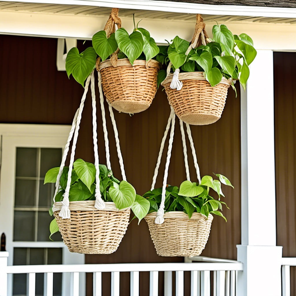 pothos in hanging baskets for porch