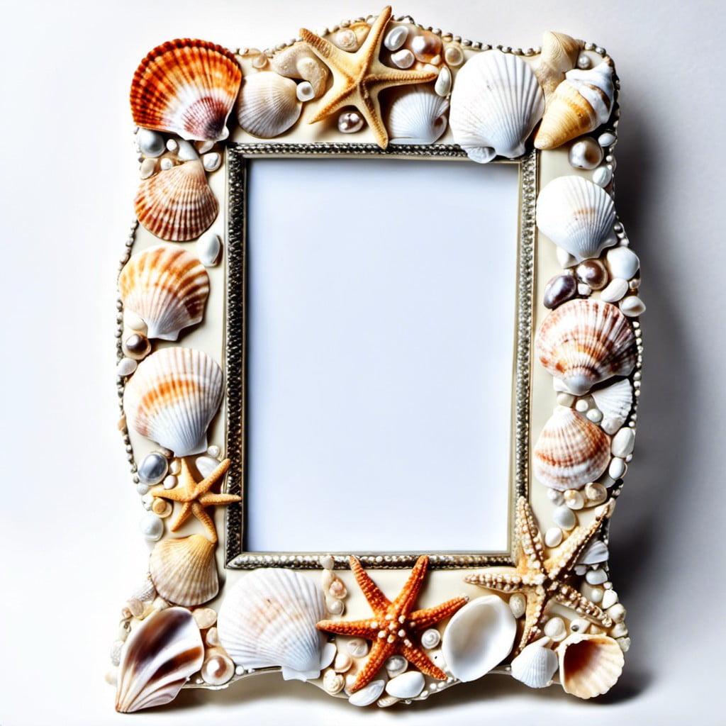 seashell picture frames