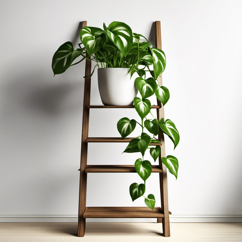 trailing pothos on ladder style shelf