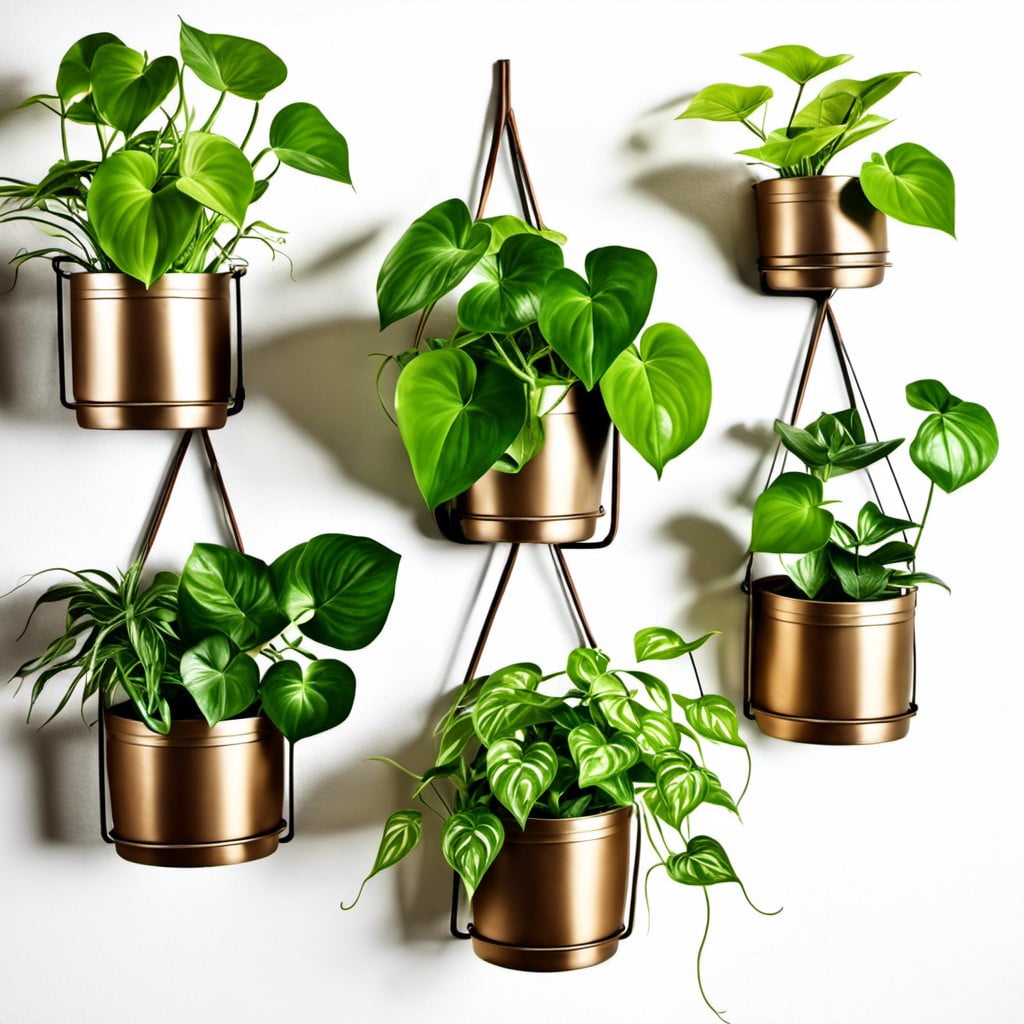 wall mounted pothos in metal planters