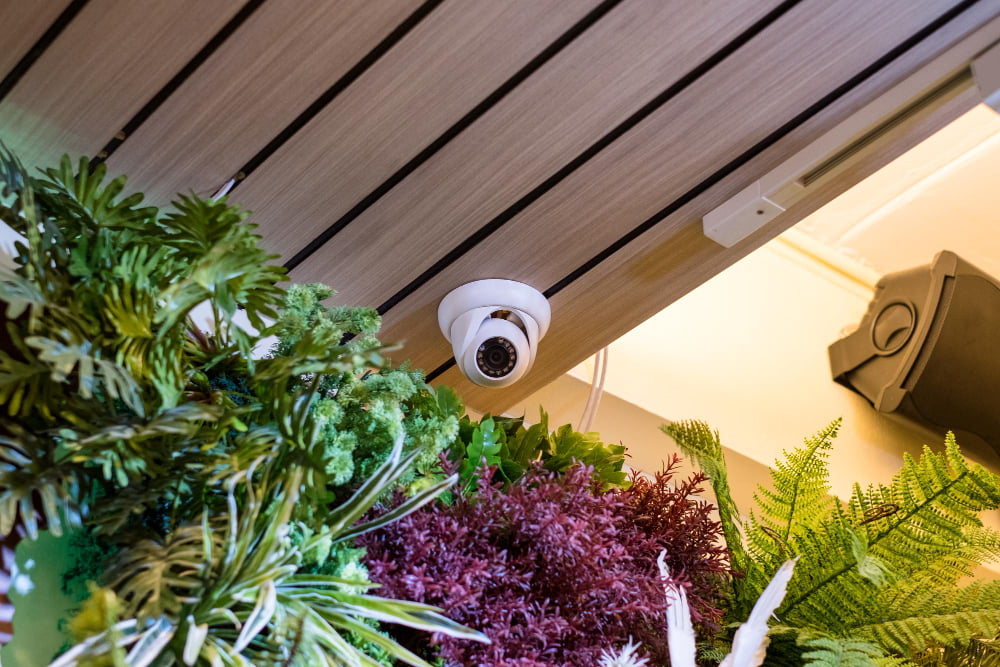 Consider Placing CCTV and Security Cameras